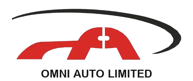 omni_auto_with_text